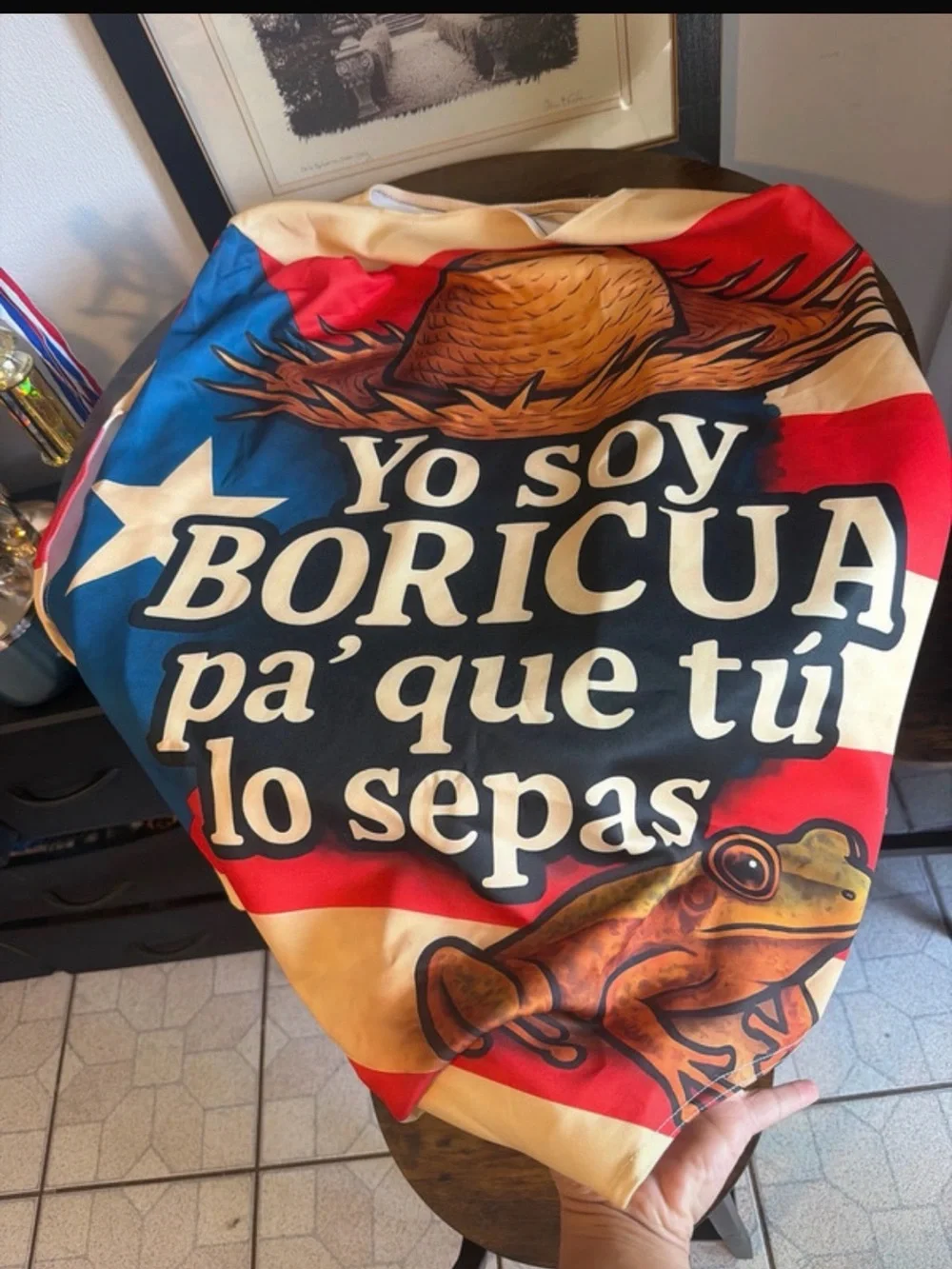 Boricua Statement carry-on cover